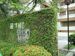 The Cairnhill (D9), Condominium #573670791